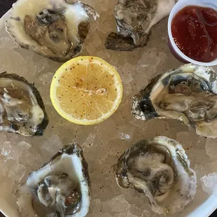 Raw oysters
