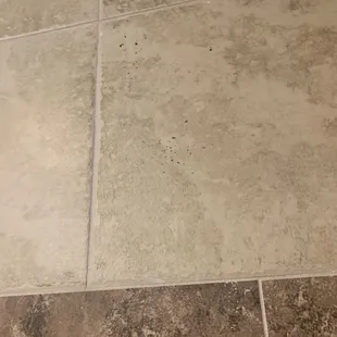 After they supposedly full service 'cleaned' our room: Unknown brown substance on the bathroom wall.