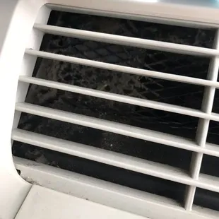 Ac disgraceful mold inside