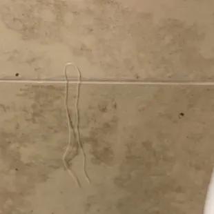 After they supposedly full service 'cleaned' our room. Previous occupants dental floss still hanging from the bathroom wall.