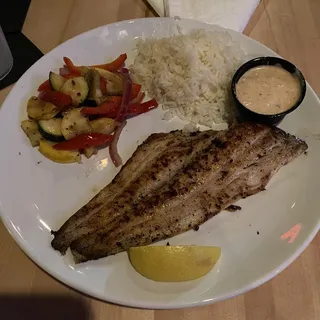 Trigger Fish
