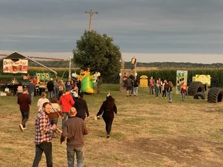 Liberty Corn Maze