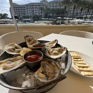 Half dozen oysters