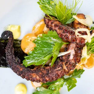 Octopus, Ocotillo Restaurant Phoenix