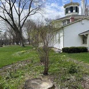 Exterior building - patiently awaiting flower blooms