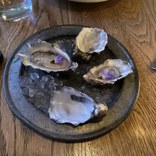 Oysters