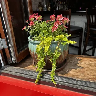 Their Plants are Beautiful