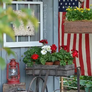 Our Decorating Services . All October Moon Items Eco Freindly