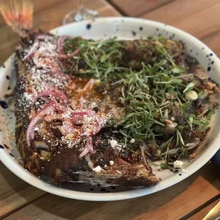 Red Snapper