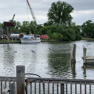Even the ducks know how good this place is. It looks like they brought their whole family.