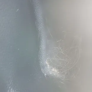 What Did they even clean