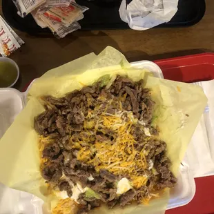 Carne Asada Fries