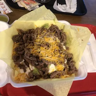 Carne Asada Fries