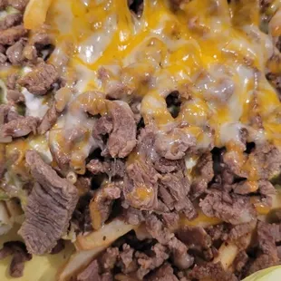 Not so good carne asada fries