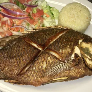grilled fish, seafood, grilled seafood, fish, food