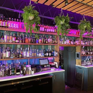 Bar area full of unique spirits you won't find anywhere else!