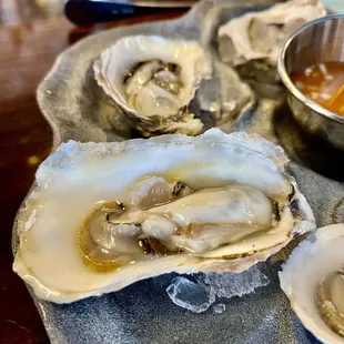 oysters and mussels, shellfish, oysters, mussels, food