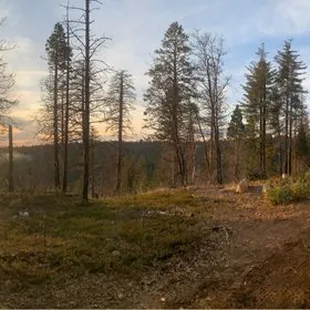 We went up in the forest and cleared the trash.