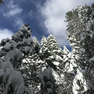 A few pictures of Sierra Park , only 10 miles from Dodge Ridge.