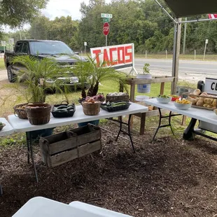 a table full of vegetables
