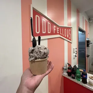Double scoop ice cream - Cookies and Cream and Mint Chocolate Chip