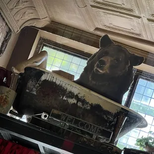 Up above in the front