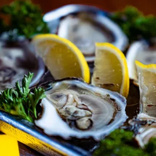 oysters and mussels, mussels, food, shellfish, oysters