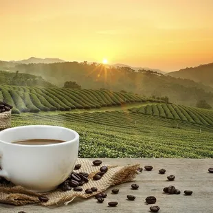 COFFEE CUP WITH SUNRISE FIELDS BACKGROUND