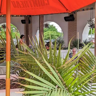 outside, salads