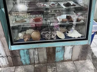 Rockport Daily Grind