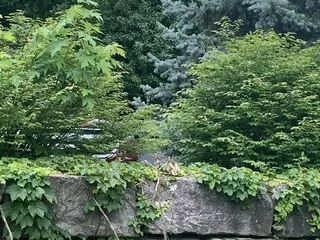 Albonee Country Inn and Vineyards