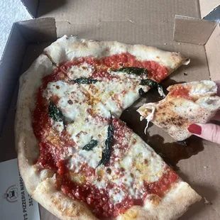 Margherita Pizza