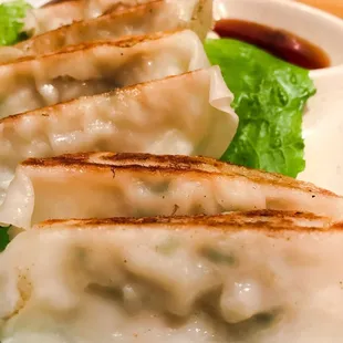 Gyoza