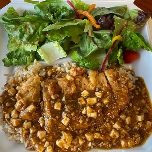 Pork Mapo Tofu over brown rice