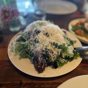 MIXED LETTUCES WITH MEYER LEMON VINAIGRETTE AND PARMIGIANO-REGGIANO