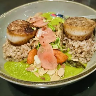 Scallops