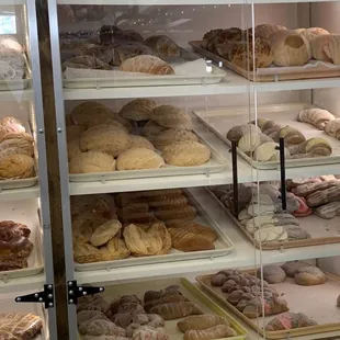 Vast selection of pan dulce rolls.