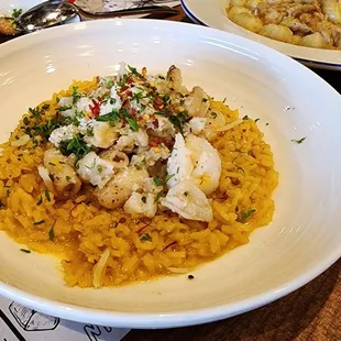 Saffron Risotto