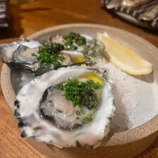 Oysters