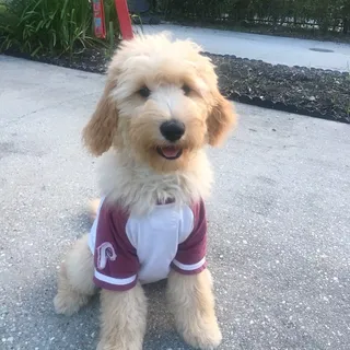 A G.