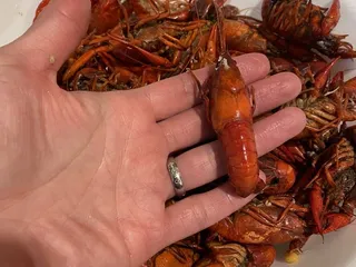 Kyle LeBlanc Crawfish Farms