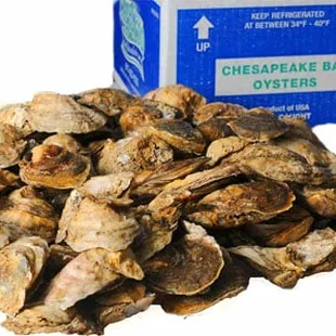 Chesapeake Bay oysters - seafood delivery in Nashville, Southaven, Tupelo, Memphis, Little Rock, etc.
