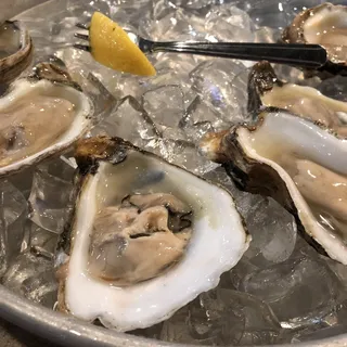 Oysters*
