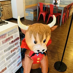 Halloween highland cow.