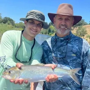 Fly fishing on the American river near Sacramento California for Shad