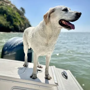 Riley is a great fly fishing buddy and catches as many striper on the they as any guide we know in California.