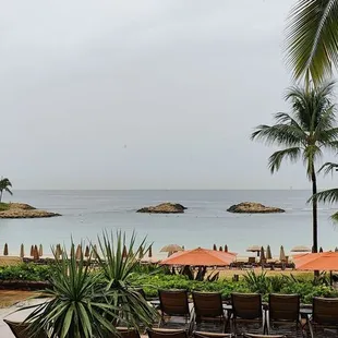 a view of a beach and palm trees