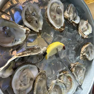 oysters, mussels, oysters and mussels, shellfish, food
