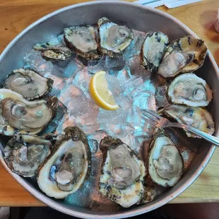 Oysters