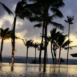 The view from the cough at of the lip